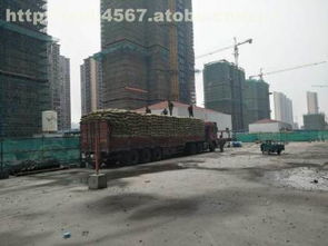 頁巖產品熱賣促銷 淮南市金瑞新型建筑材料廠供應商信息與價格解析